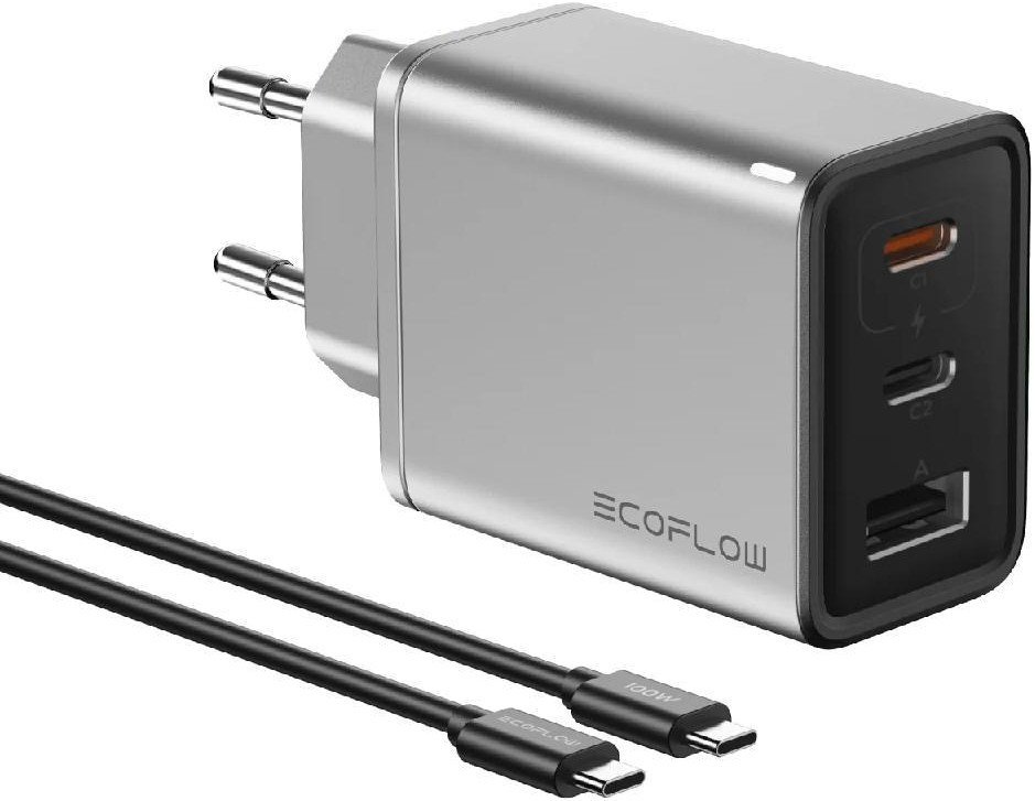 Сетевое зарядное EcoFlow Rapid GaN Charger 65W