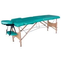 Массажный стол DFC Nirvana Optima TS20110S-Gr (зеленый)