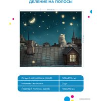 Фотообои ФабрикаФресок Кот на крыше 473270 (300x270)