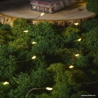 Новогодняя гирлянда Neon-Night Роса с контроллером 100 м 303-296 (теплый белый)