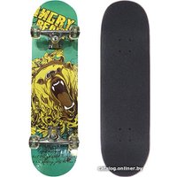 Скейтборд Display Skateboard 31