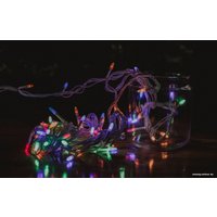 Новогодняя гирлянда Огоньки Пуля 032 6 м (многоцветный)