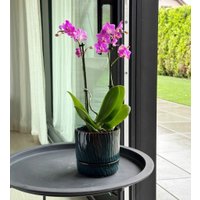 Вазон Polnix 07.149.16 (зеленый)