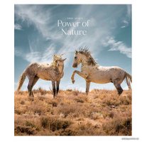 Полуобщая тетрадь Школярик Power Of Nature 048-2932K/71354 (ассорти)