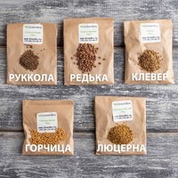 Семена GreenBro Набор для выращивания микрозелени Старт