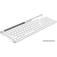 Клавиатура A4Tech Fstyler FBK25 (белый/серый)