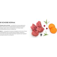 Сухой корм для собак Grandorf Adult Mini Breeds Fresh Lamb&Sweet Potato 3 кг в Могилеве
