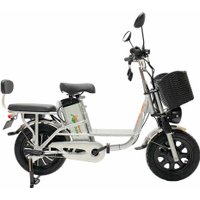 Электровелосипед GreenCamel Транк Монстр R16FAT (500Вт 48В 15Ач)