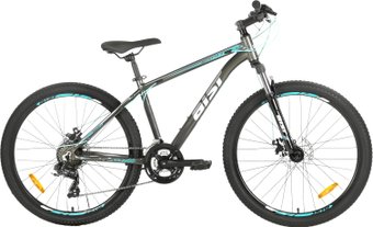 AIST Rocky 1.0 Disc 26 р.16 2020 (серый/синий)