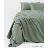 Евро комплект постельного белья GoodNight Essential Евро 368212 (зеленый)