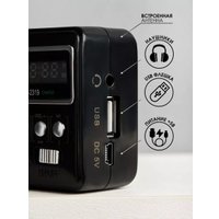 Радиоприемник Wster WS-2319 (черный)