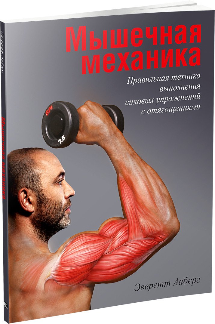 

Книга издательства Попурри. Мышечная механика (Ааберг Э.)