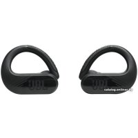 Наушники JBL Endurance Peak 3 (черный)