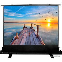 Проекционный экран CACTUS FloorExpert 113x200 CS-PSFLE-200X113