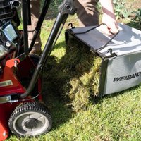 Скарификатор Weibang WB 384RB