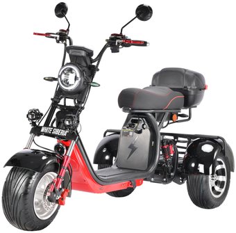 Электроскутер White Siberia CityCoco WS-Pro Trike 3000W 21Ah (с черными брызговиками)