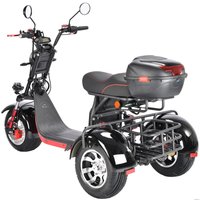 Электроскутер White Siberia CityCoco WS-Pro Trike 3000W 21Ah (с черными брызговиками)
