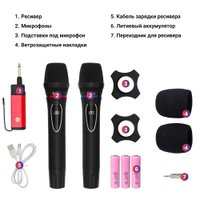 Радиосистема Tesler WMS-700