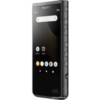 Hi-Fi плеер Sony Walkman NW-ZX507 (черный)