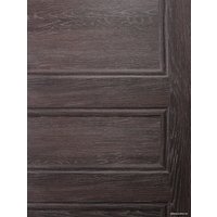 Металлическая дверь Промет Винтер 205x88 (дуб шале/антик медь, левый)