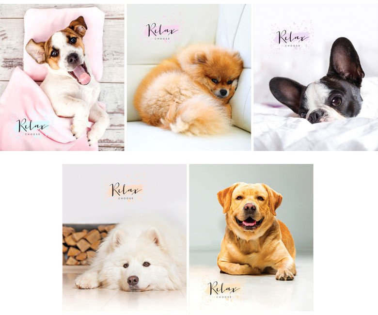 

Общая тетрадь ArtSpace клетка Питомцы. The pets Т96к_26723 (96 л)