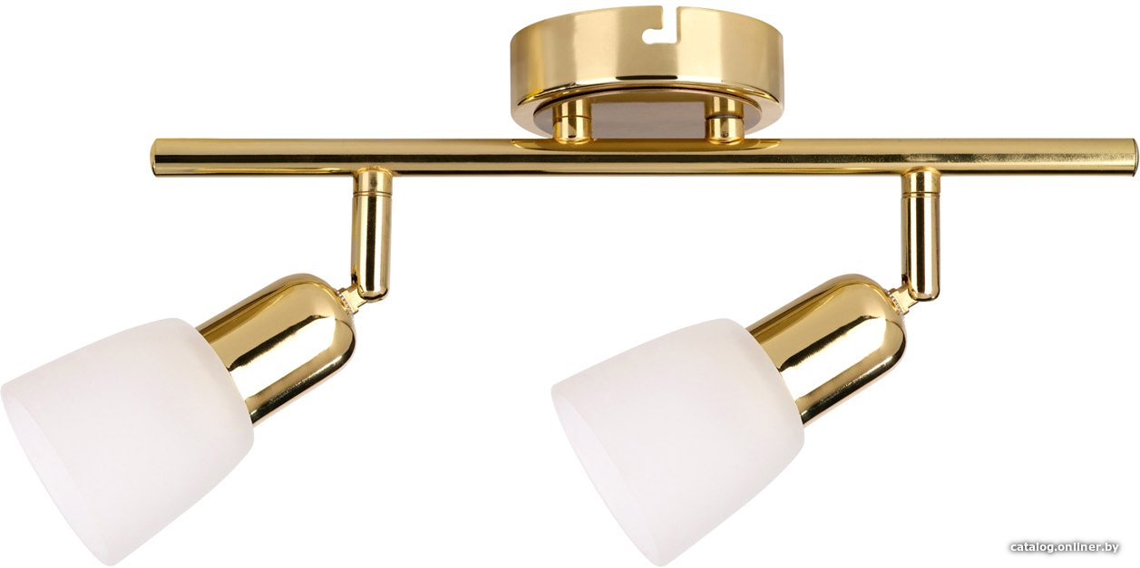 Спот Escada 5039/2PA E14*40W Gold/White