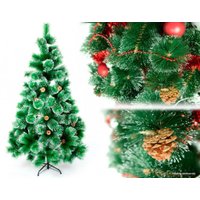 Сосна MA пушистая 3 м