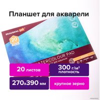 Планшет для акварели BRAUBERG Art Premiere 113250 (20 л)