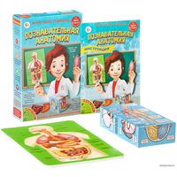 Набор для опытов Bondibon Науки с Буки Познавательная анатомия ВВ1836