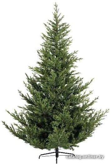 Ель Everlands Норвегия 2.1 м