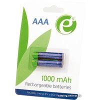 Аккумулятор Gembird Rechargeable batteties AAA 1000 mАh 2 шт. [EG-BA-AAA10-01]