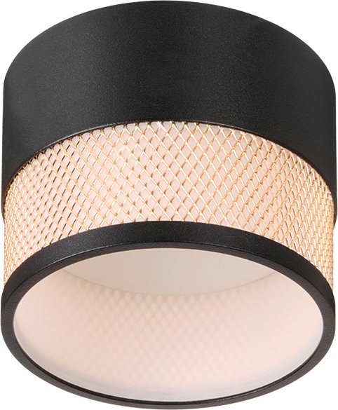 

Точечный светильник Wolta WSL-GX53/12BG