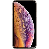Телефон Apple iPhone XS 64GB (золотистый)