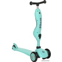 Трехколесный самокат Pituso EC-M24 (светло-зеленый)