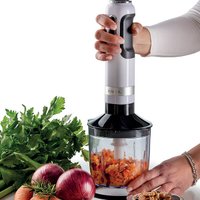 Погружной блендер Ariete 602/01 3 in 1 Moderna