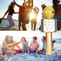 Bluetooth-микрофон Wster WS-858 (золотистый)