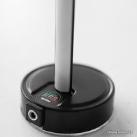 Торшер Electric Light 1000 ver.1 (черный) в Лиде