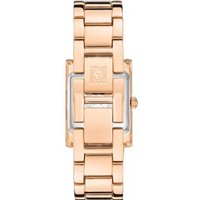 Наручные часы Anne Klein Steel 3954NVRG