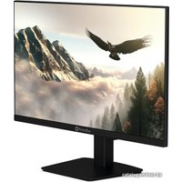 Монитор Prime Box Eagle M24 HVIB