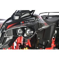 Квадроцикл White Siberia Sneg Pro R 3000W