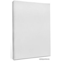 Пленка для ламинирования Revcol глянцевая A3 80 мкм 100 конвертов 6294