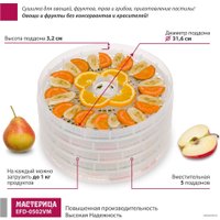 Сушилка для овощей и фруктов Мастерица EFD-0502VM (5 прозрачных поддонов и 1 поддон для пастилы)