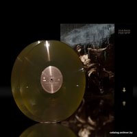  Виниловая пластинка Behemoth - I Loved You At Your Darkest (Limited Edition, темно-зеленый винил)