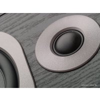 Акустика Edifier C200