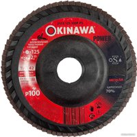 Шлифовальный круг Okinawa 125-100P-PS