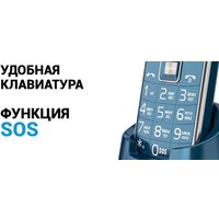 Кнопочный телефон Maxvi B6ds up (маренго)