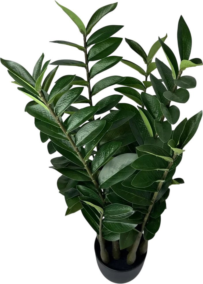 

Искусственное растение Merry Bear Home Decor Замиокулькас AZ04075