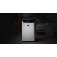 Климатический комплекс BORK A807