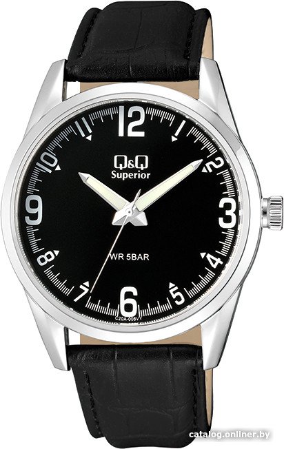 Наручные часы Q&Q Astron C20AJ008