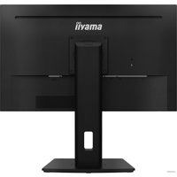 Монитор Iiyama ProLite XUB2493HS-B5